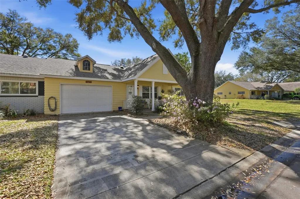 8556 SW 90th Lane Ocala FL 34481