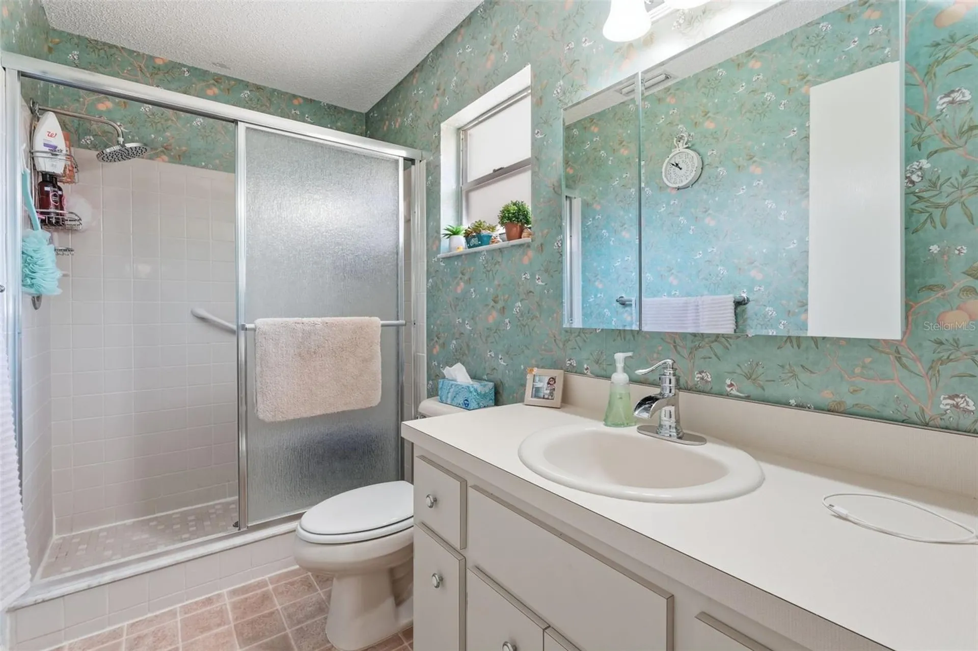 8556 SW 90th Lane Ocala FL 34481