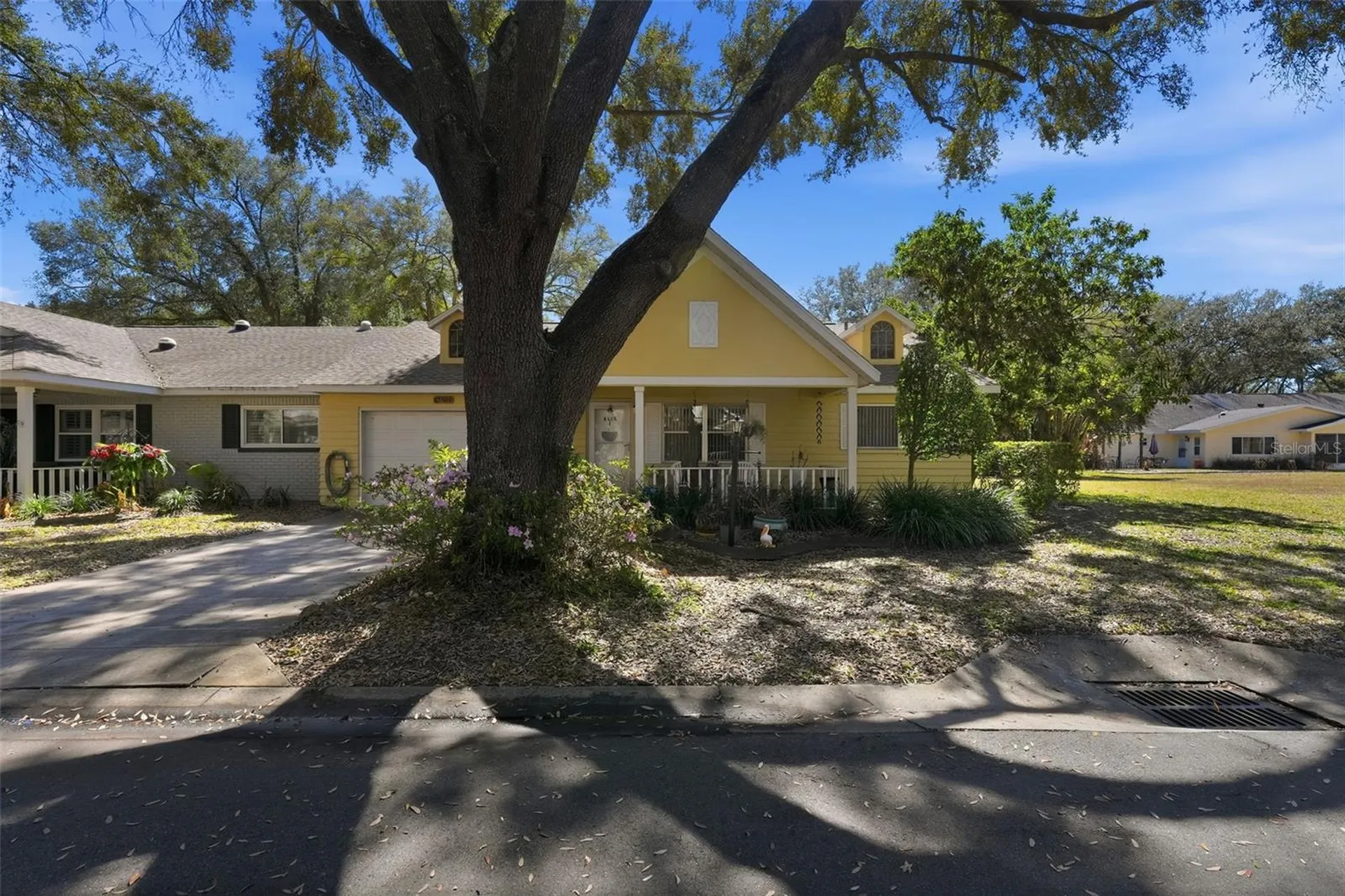 8556 SW 90th Lane Ocala FL 34481
