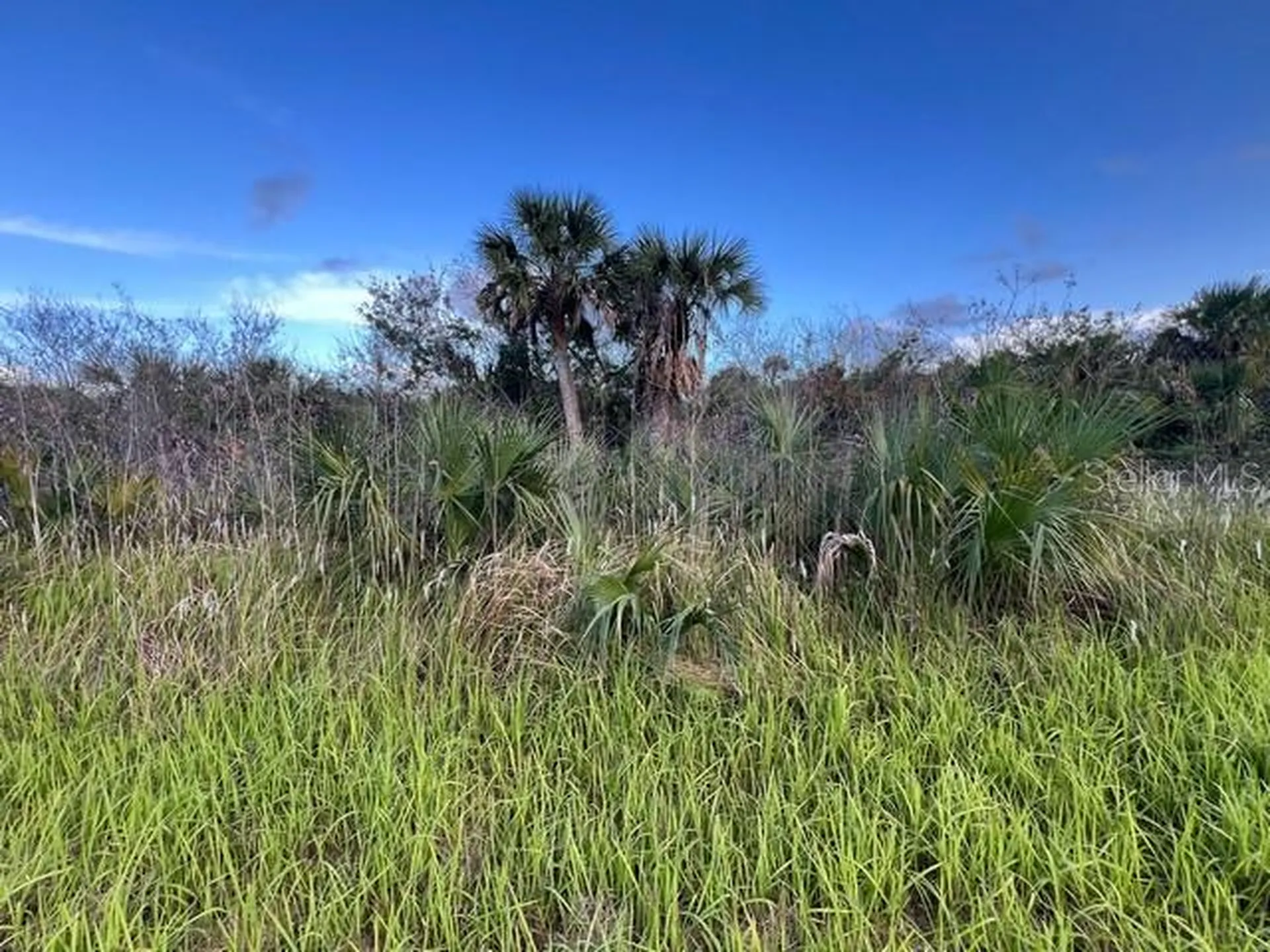 2445 Kentucky Drive SW Palm Bay FL 32908