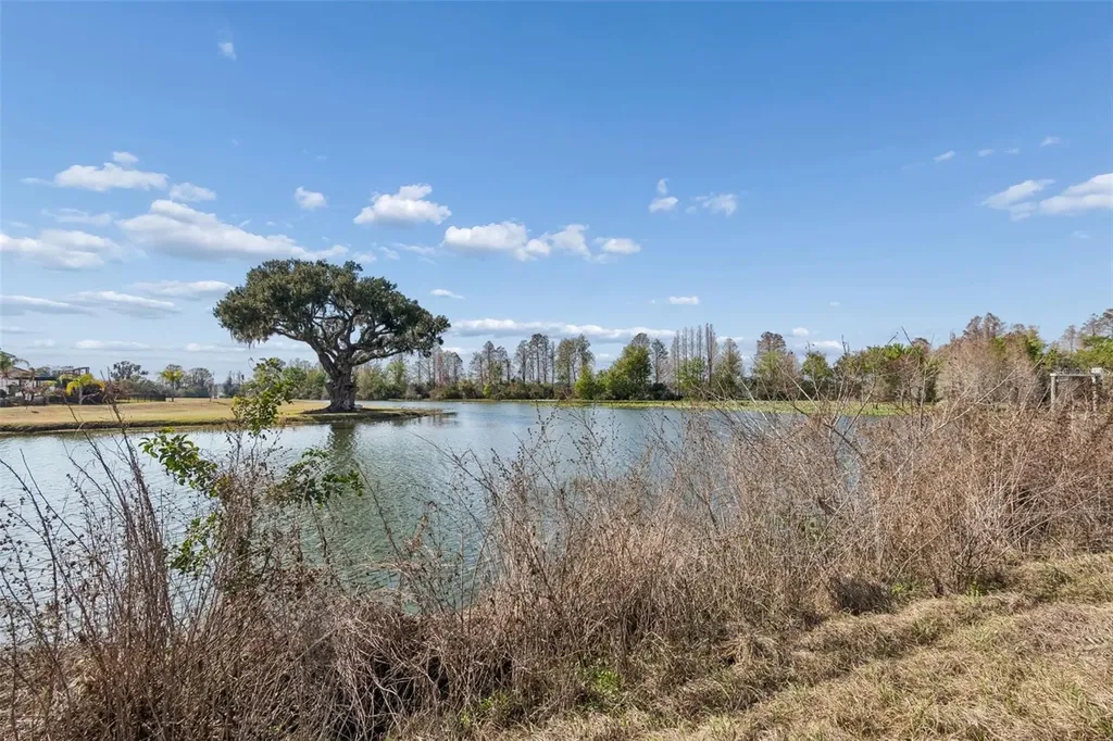 10718 Osprey Landing Way Thonotosassa FL 33592