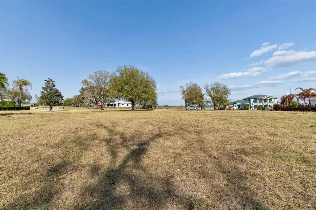 10718 Osprey Landing Way Thonotosassa FL 33592