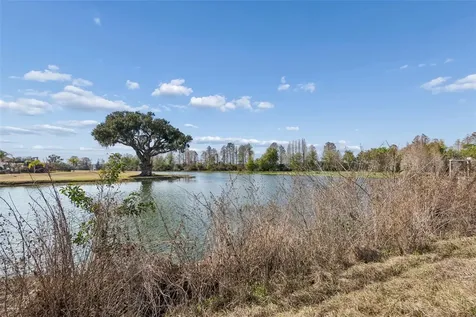 10718 Osprey Landing Way Thonotosassa FL 33592