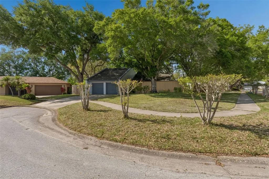 4438 Summer Oak Drive Tampa FL 33618