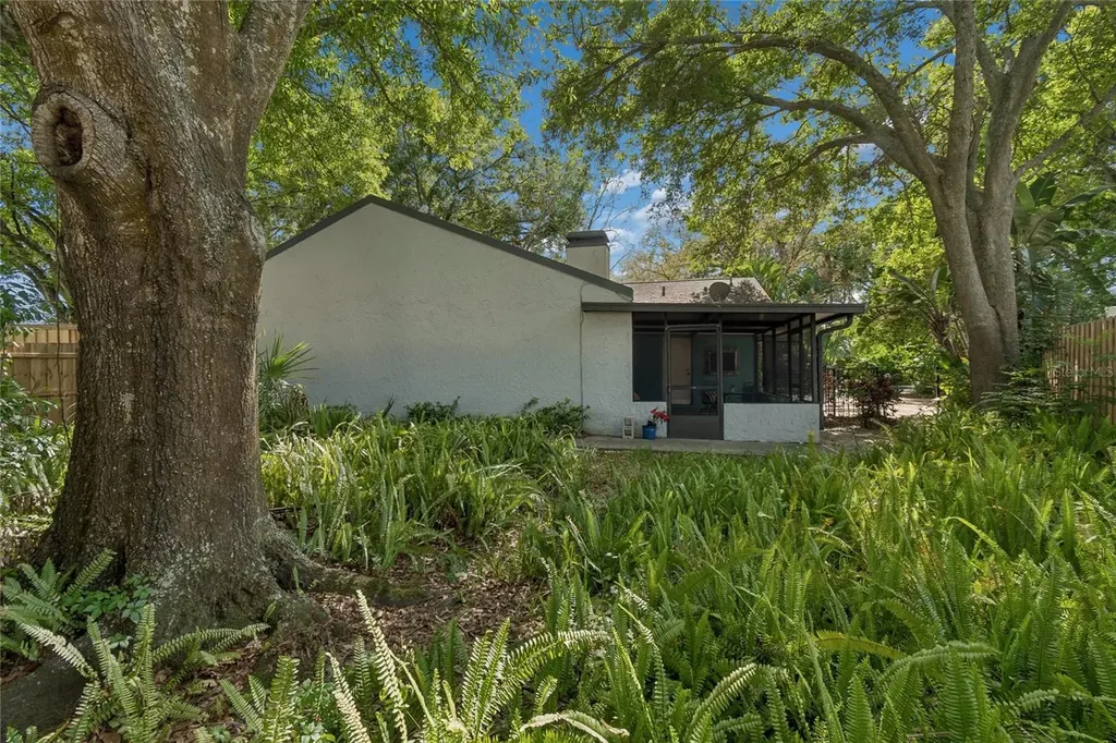 4438 Summer Oak Drive Tampa FL 33618