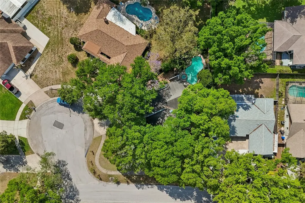 4438 Summer Oak Drive Tampa FL 33618