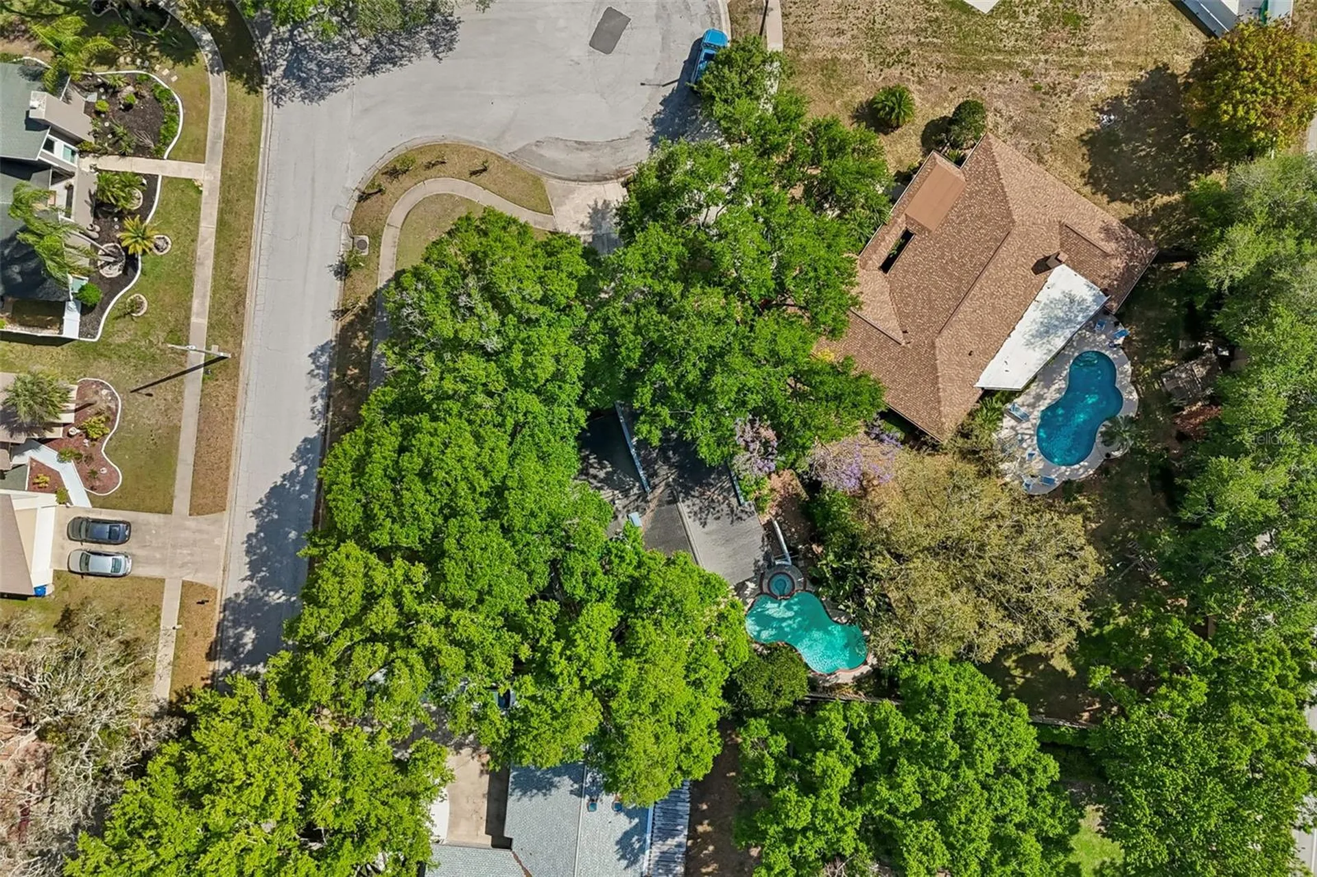 4438 Summer Oak Drive Tampa FL 33618