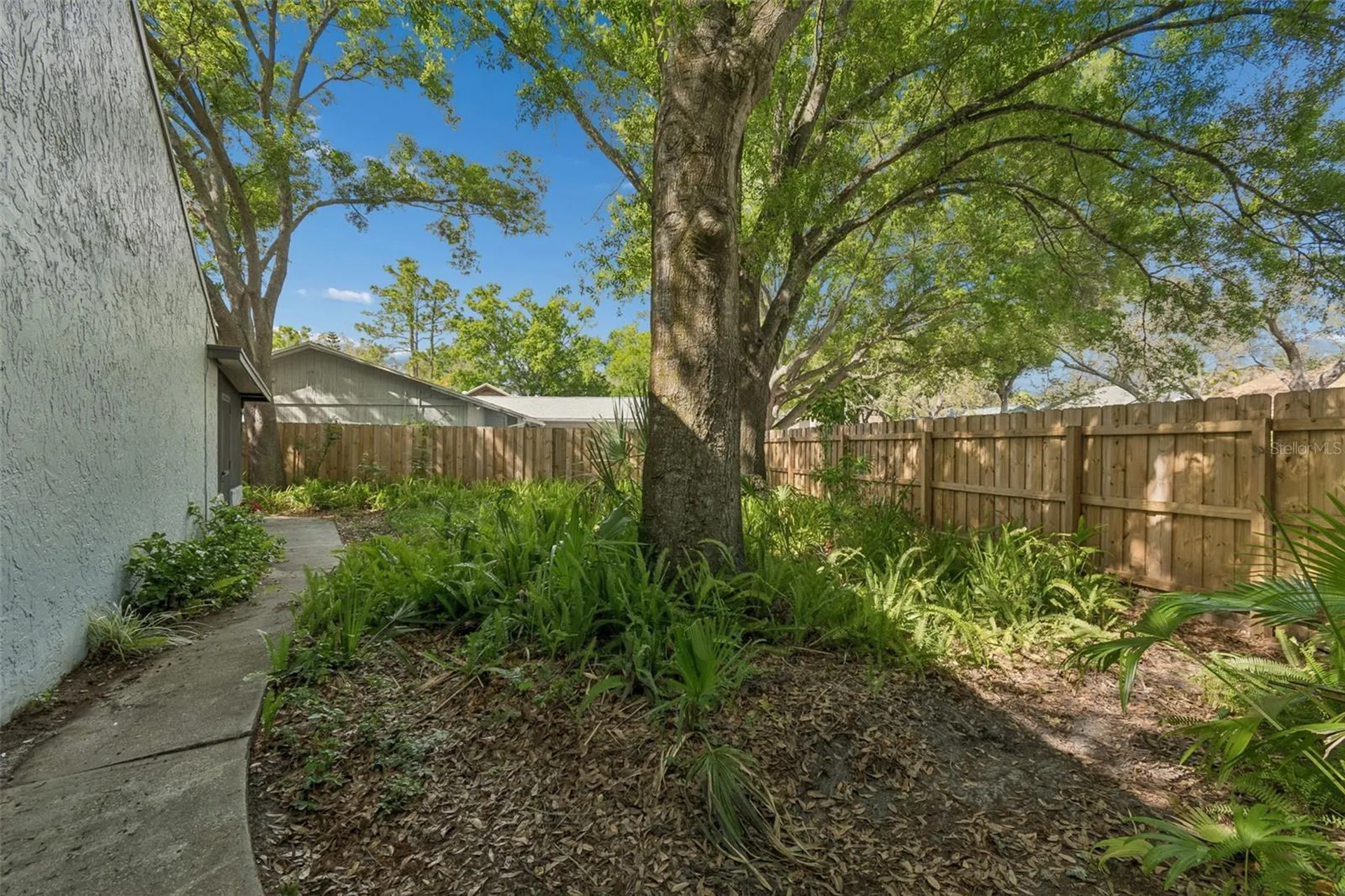 4438 Summer Oak Drive Tampa FL 33618