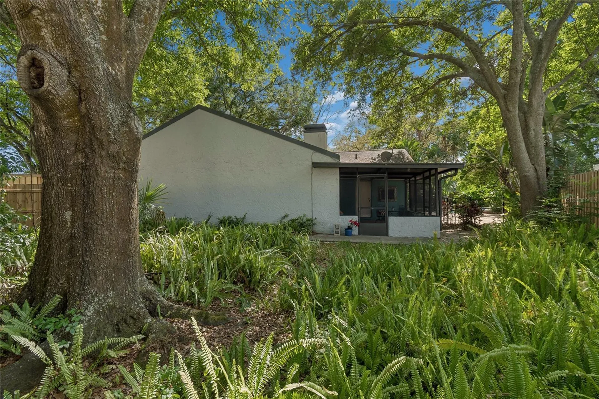4438 Summer Oak Drive Tampa FL 33618