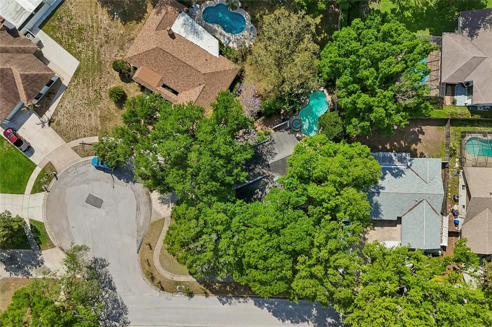 4438 Summer Oak Drive Tampa FL 33618