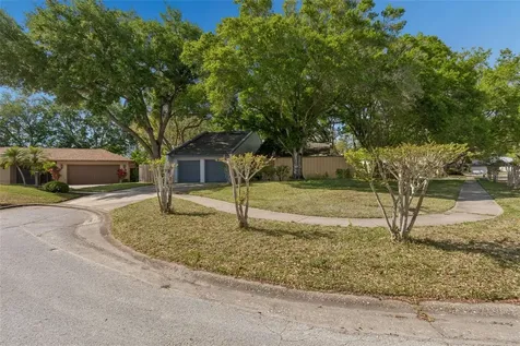 4438 Summer Oak Drive Tampa FL 33618