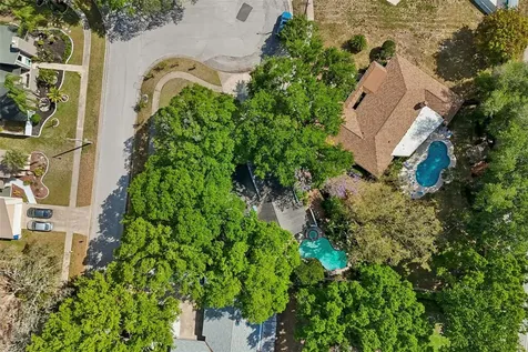 4438 Summer Oak Drive Tampa FL 33618