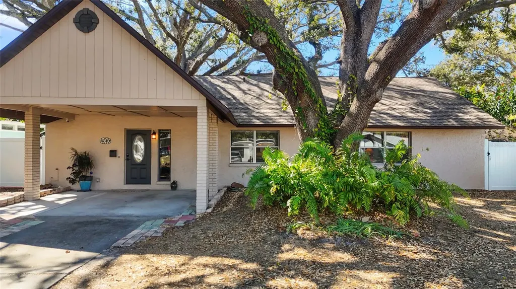 4319 S Cameron Avenue Tampa FL 33611