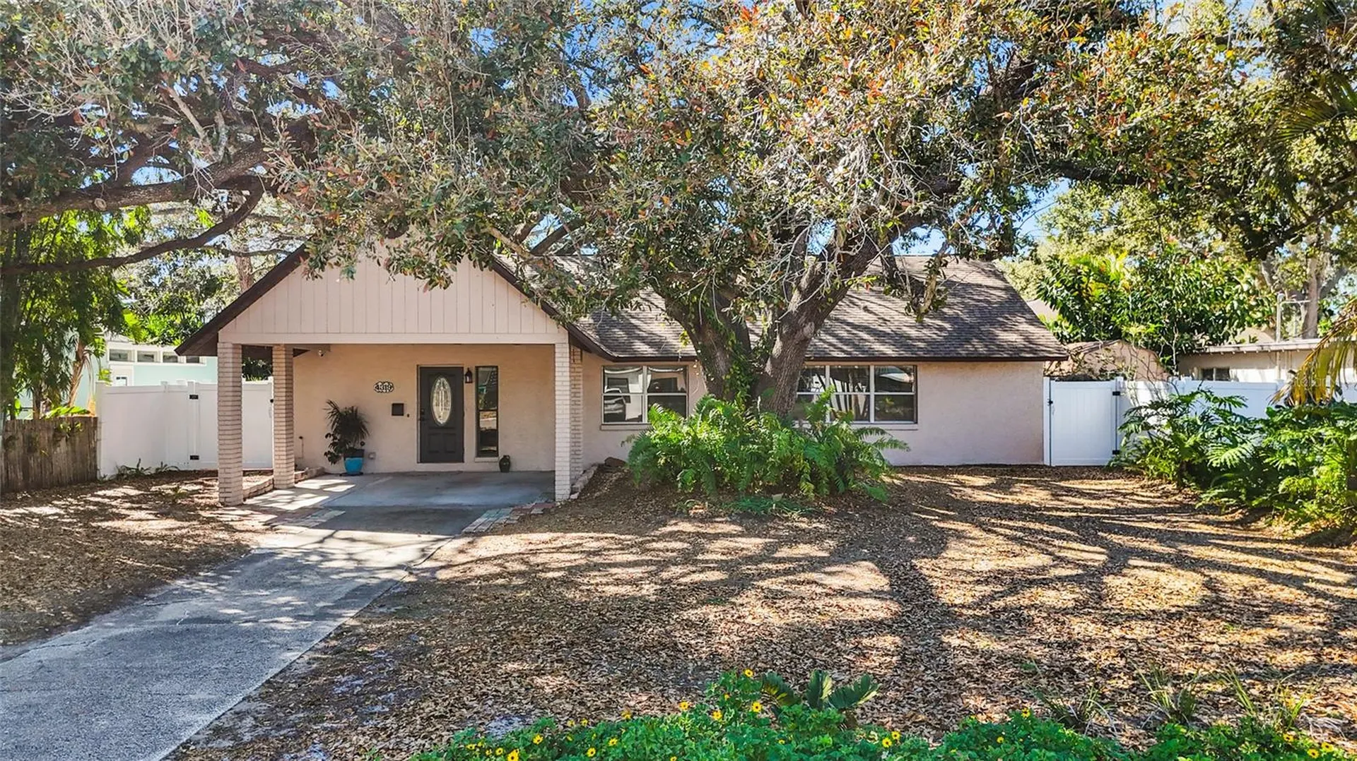 4319 S Cameron Avenue Tampa FL 33611