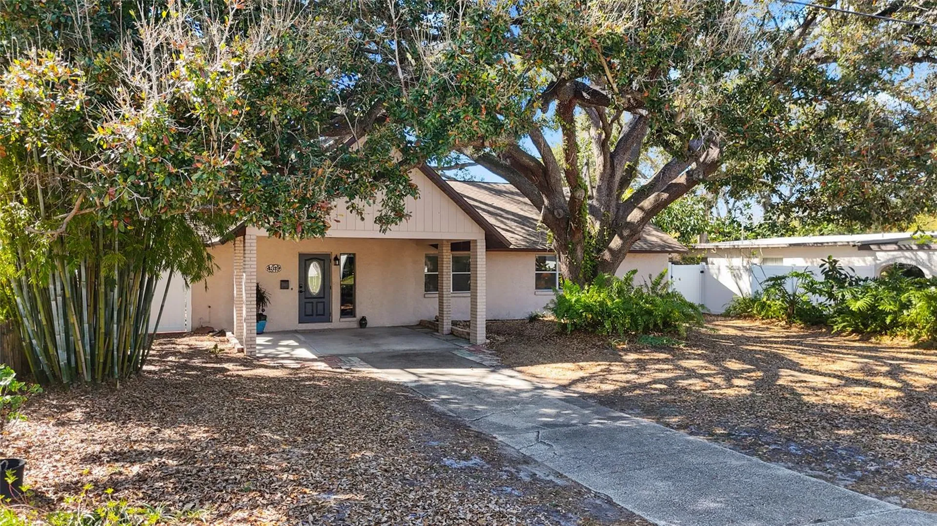 4319 S Cameron Avenue Tampa FL 33611