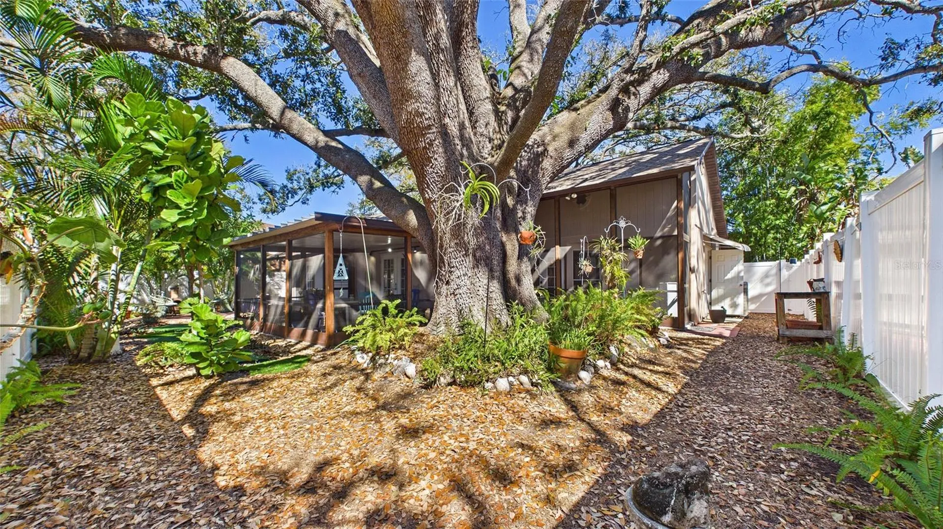 4319 S Cameron Avenue Tampa FL 33611