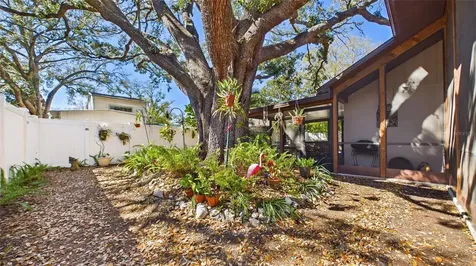 4319 S Cameron Avenue Tampa FL 33611