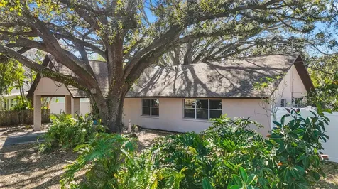 4319 S Cameron Avenue Tampa FL 33611