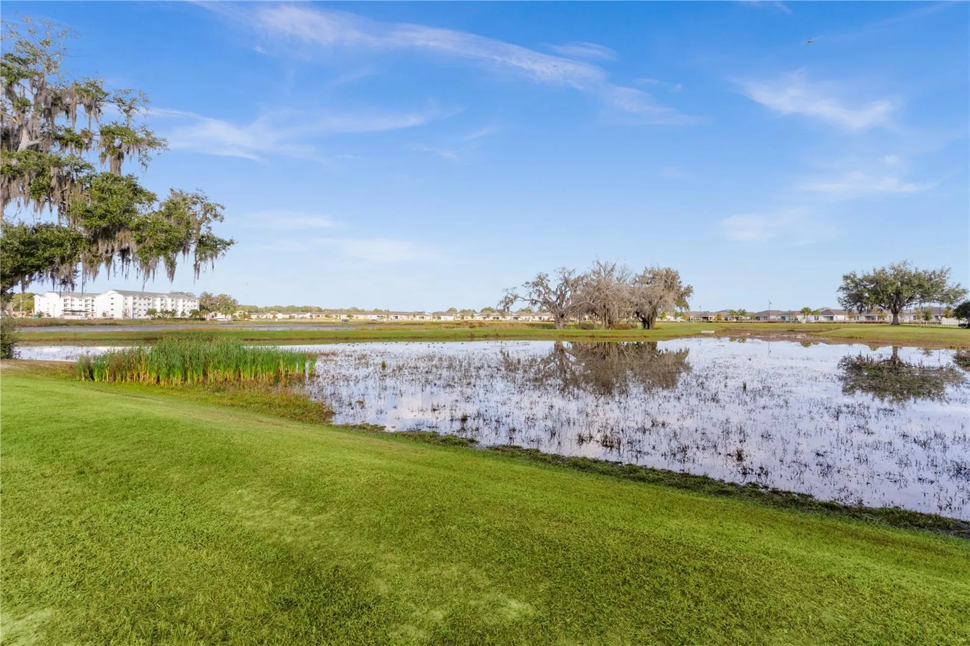 5322 Dragon Fly Drive Wildwood FL 34785