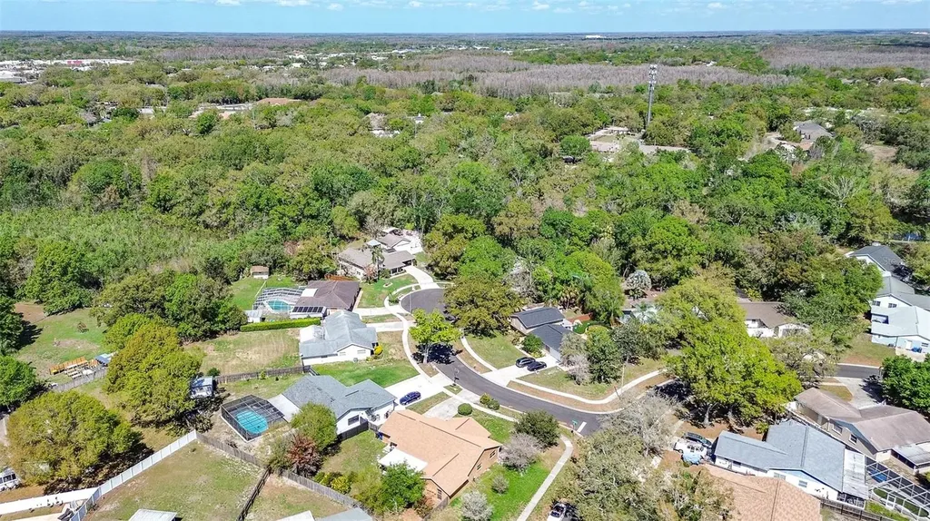 3102 Old Spring Place Tampa FL 33618