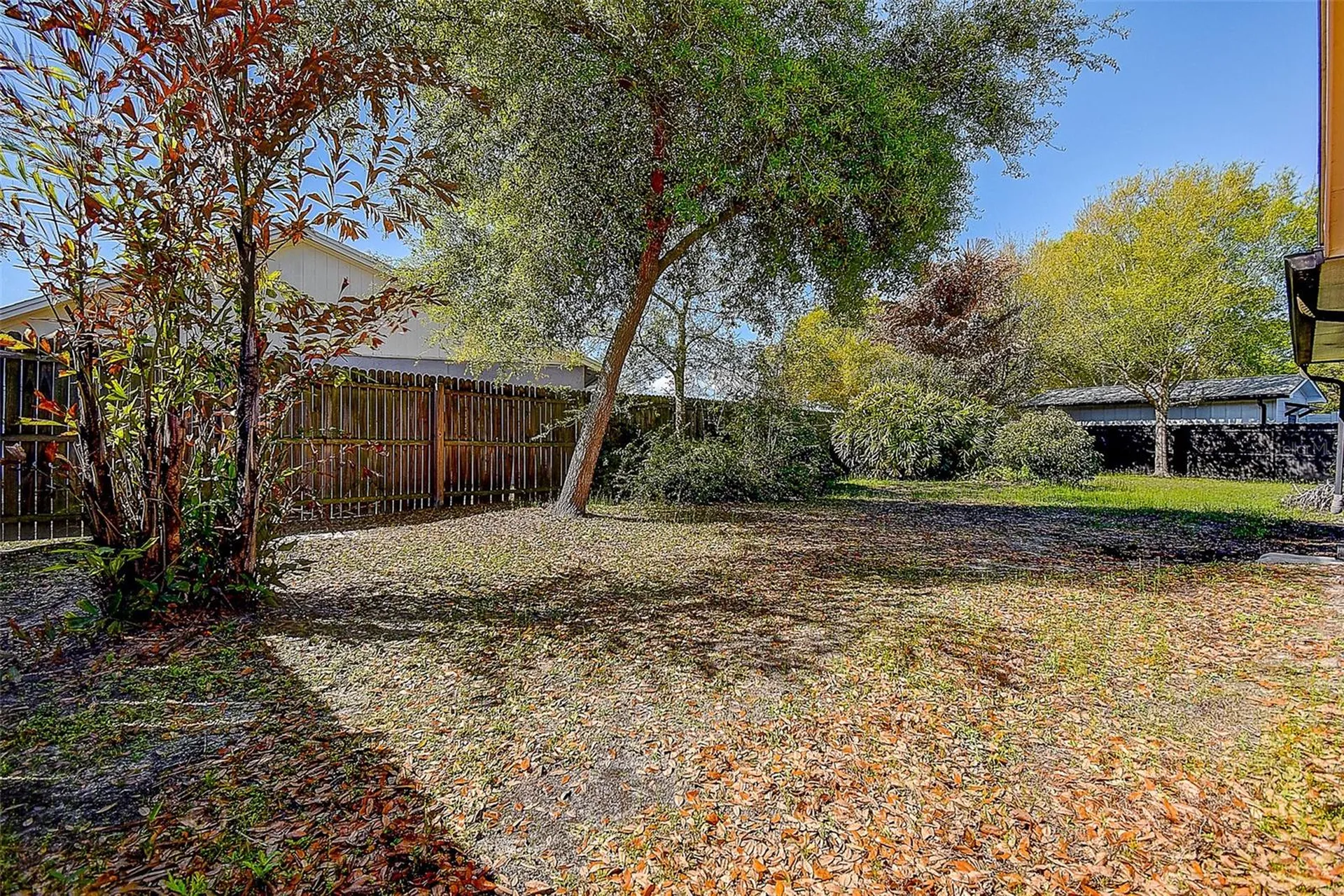 3102 Old Spring Place Tampa FL 33618