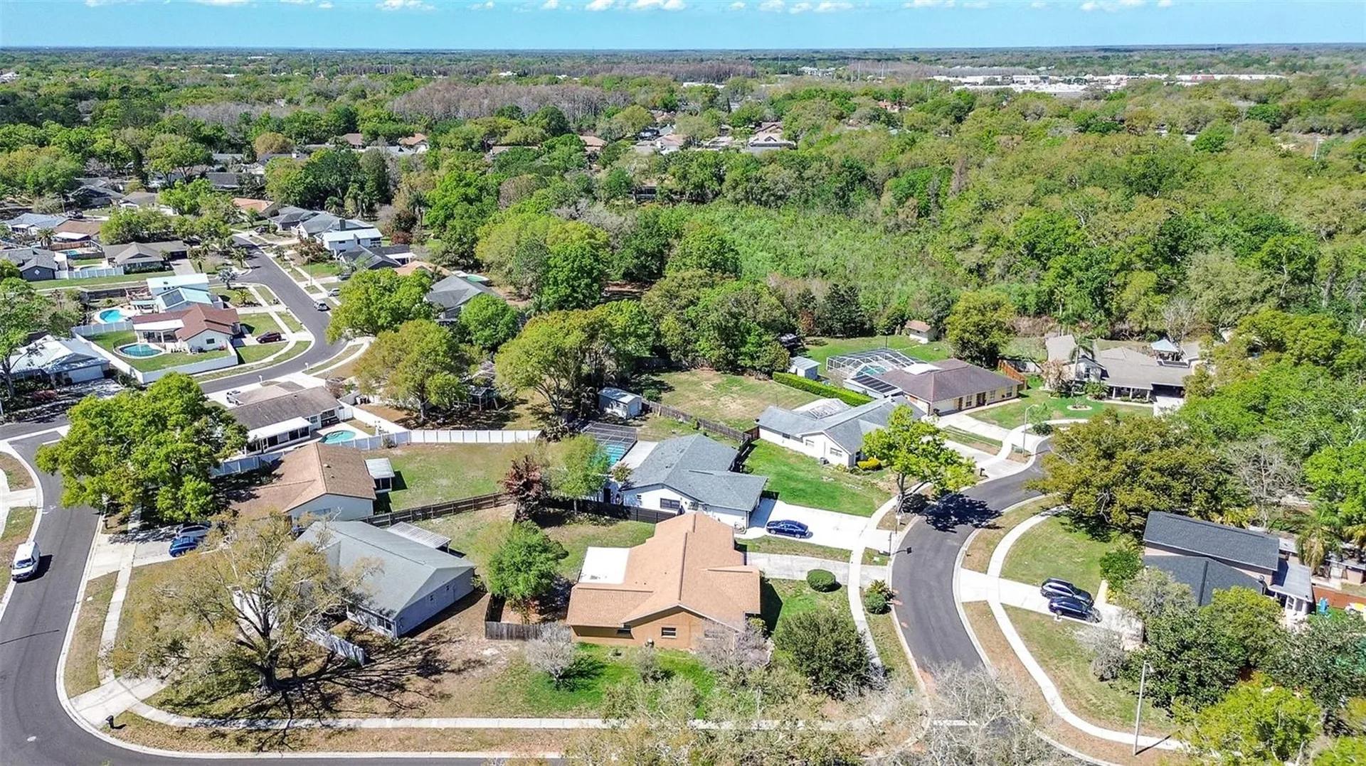 3102 Old Spring Place Tampa FL 33618