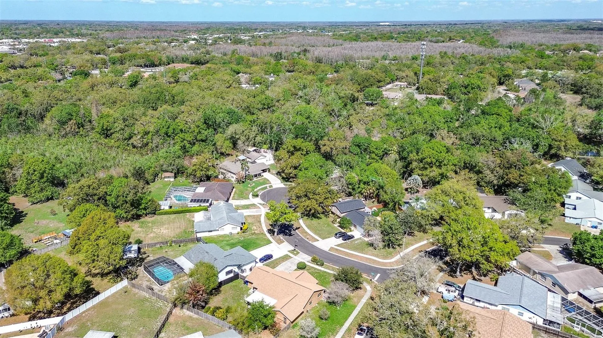 3102 Old Spring Place Tampa FL 33618