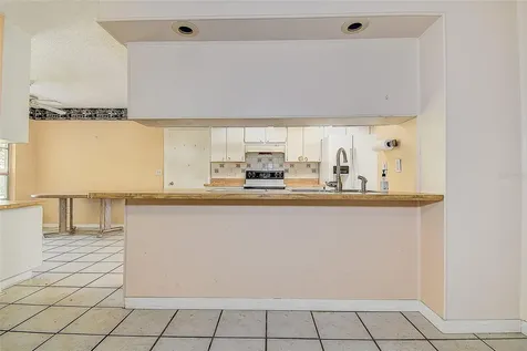 3102 Old Spring Place Tampa FL 33618