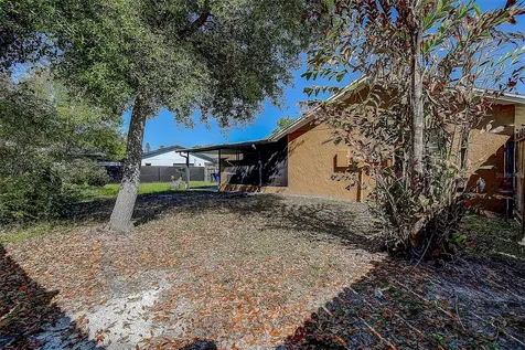 3102 Old Spring Place Tampa FL 33618