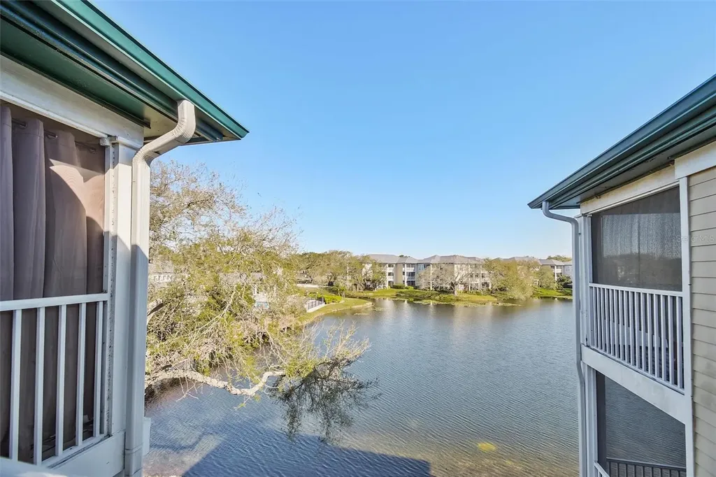 4115 Chatham Oak Court Tampa FL 33624