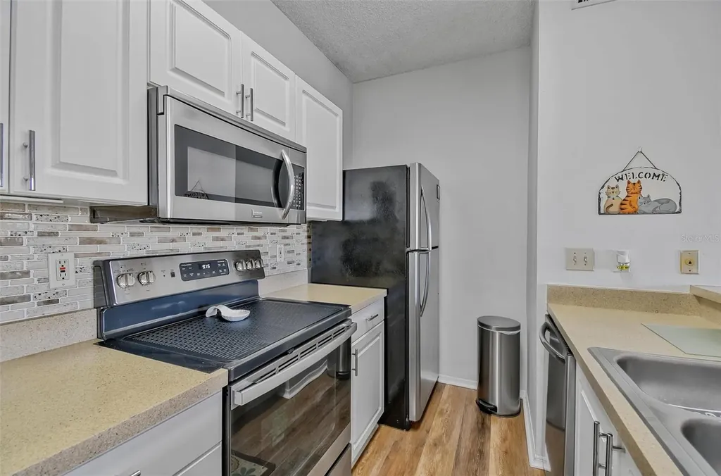 4115 Chatham Oak Court Tampa FL 33624