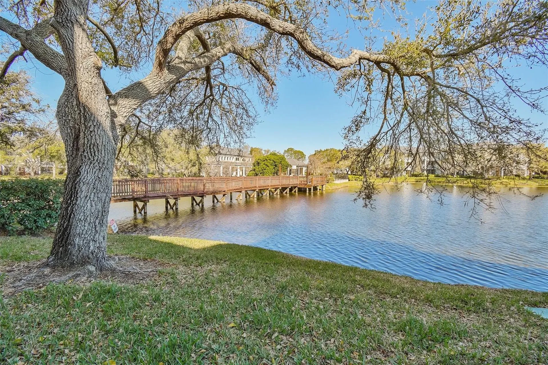 4115 Chatham Oak Court Tampa FL 33624
