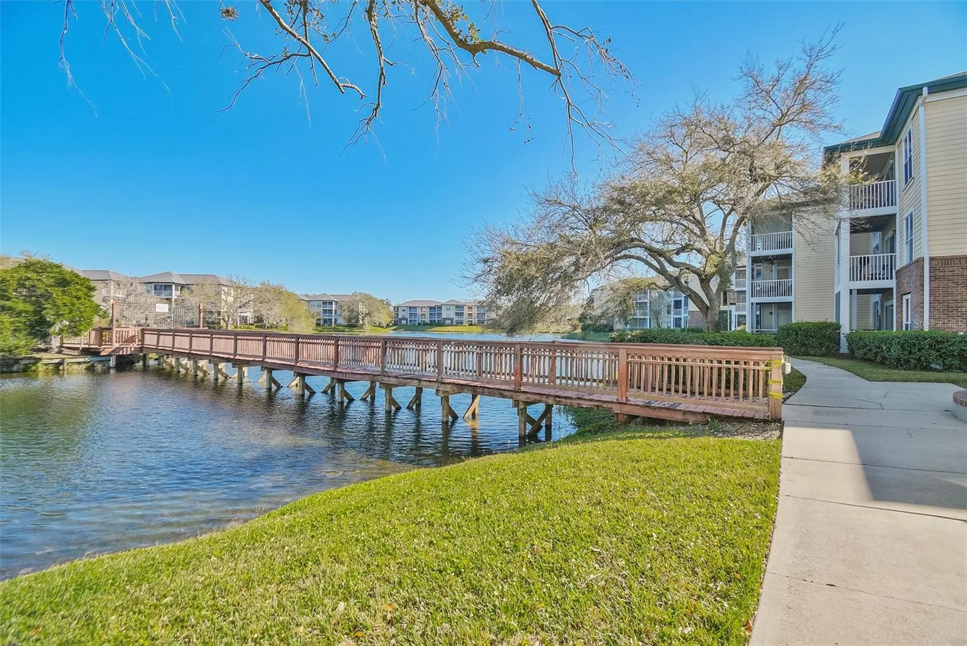 4115 Chatham Oak Court Tampa FL 33624