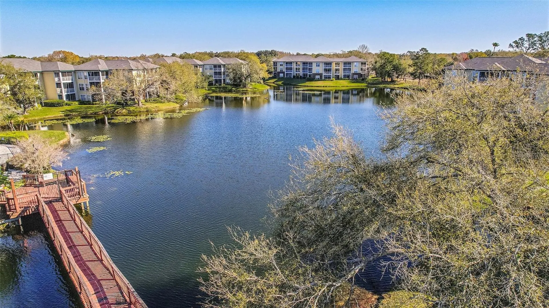 4115 Chatham Oak Court Tampa FL 33624