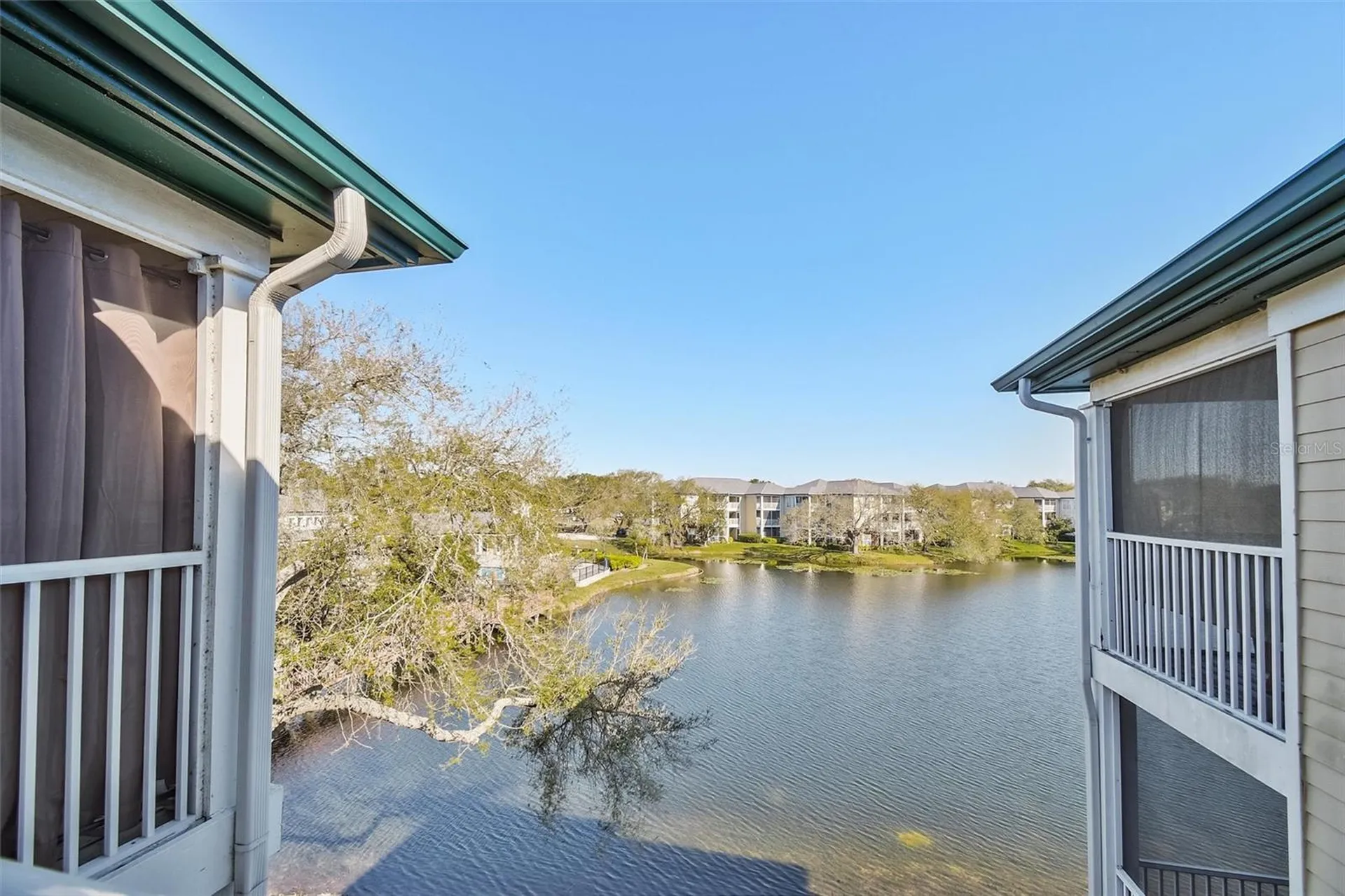 4115 Chatham Oak Court Tampa FL 33624