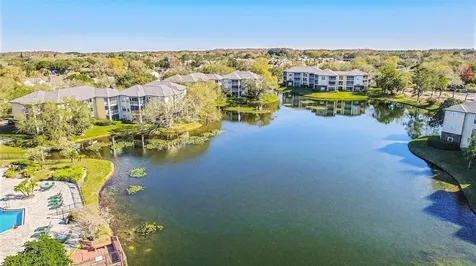 4115 Chatham Oak Court Tampa FL 33624