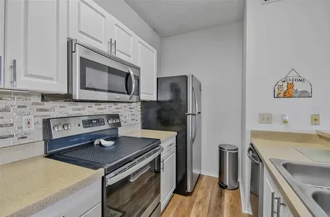 4115 Chatham Oak Court Tampa FL 33624