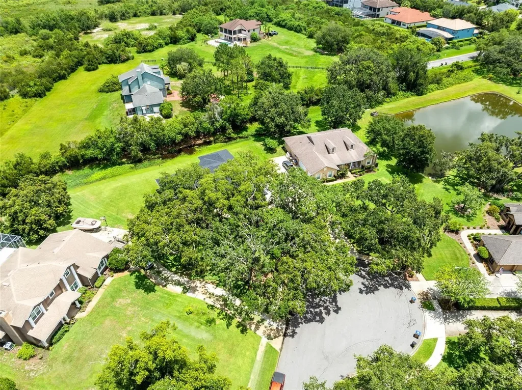5204 Hammock Pointe Court St Cloud FL 34771