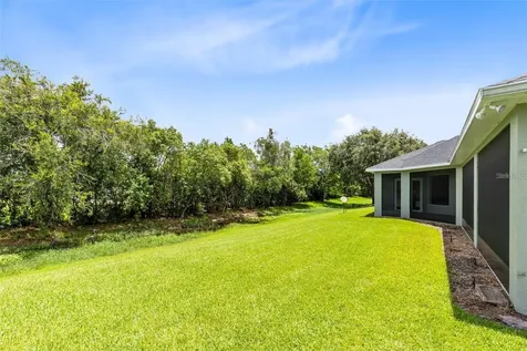 5204 Hammock Pointe Court St Cloud FL 34771