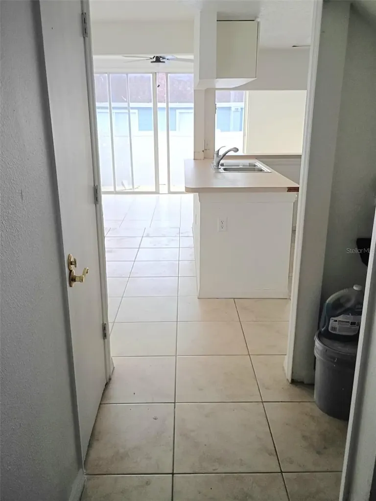 225 Mango Drive Davenport FL 33897
