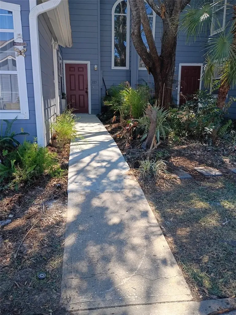 225 Mango Drive Davenport FL 33897