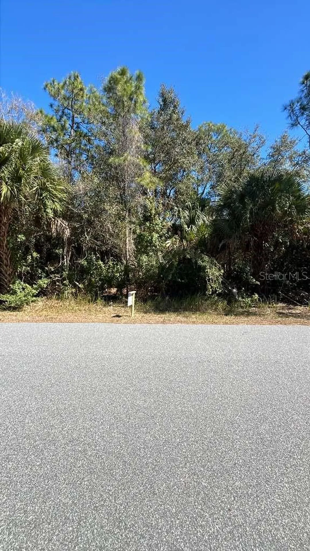 3157 Weyburn Avenue SE Palm Bay FL 32909