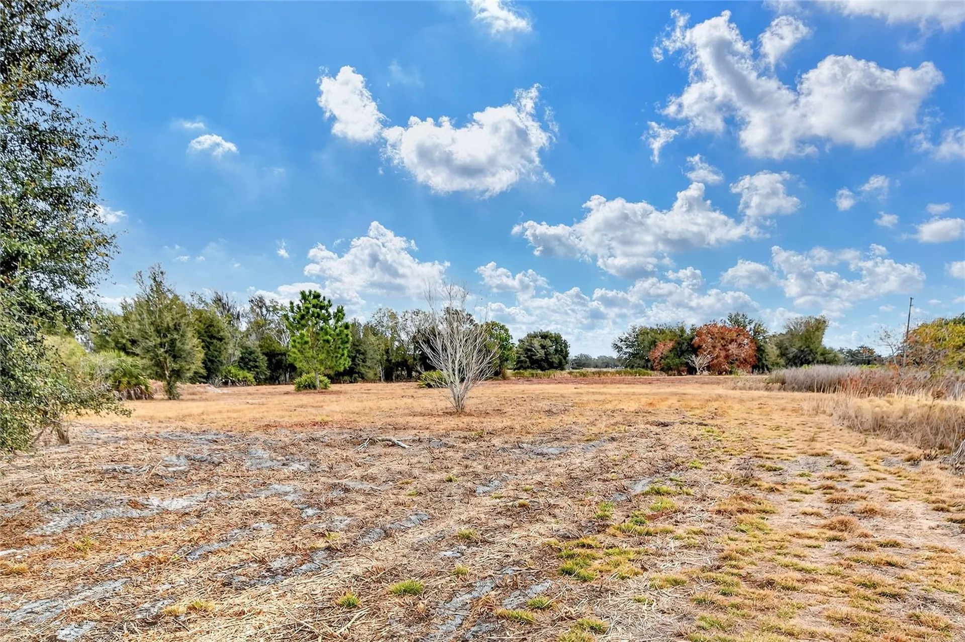 Lake Buffum Road E Fort Meade FL 33841