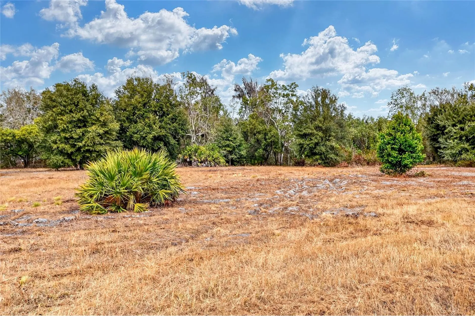 Lake Buffum Road E Fort Meade FL 33841