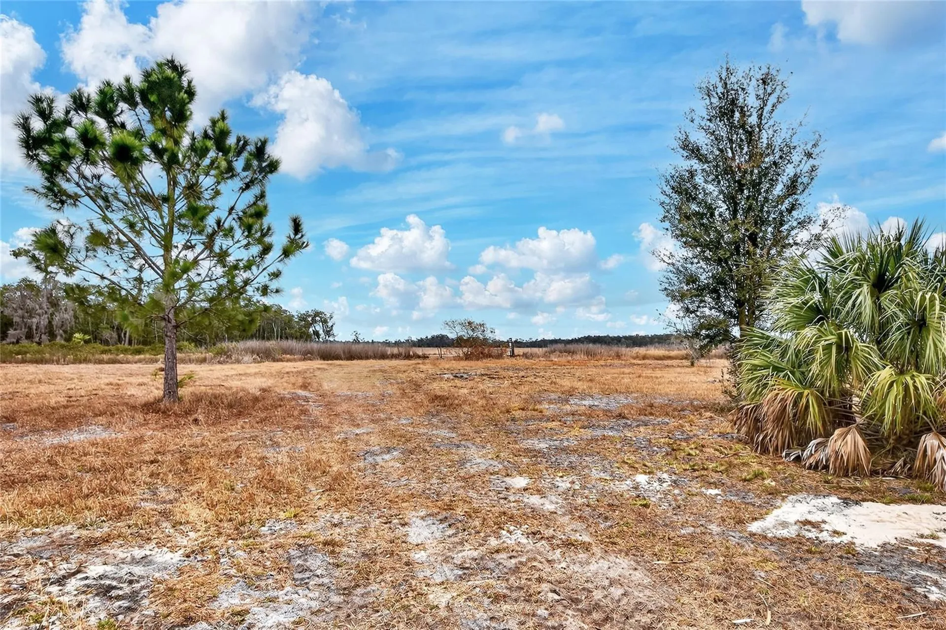 Lake Buffum Road E Fort Meade FL 33841