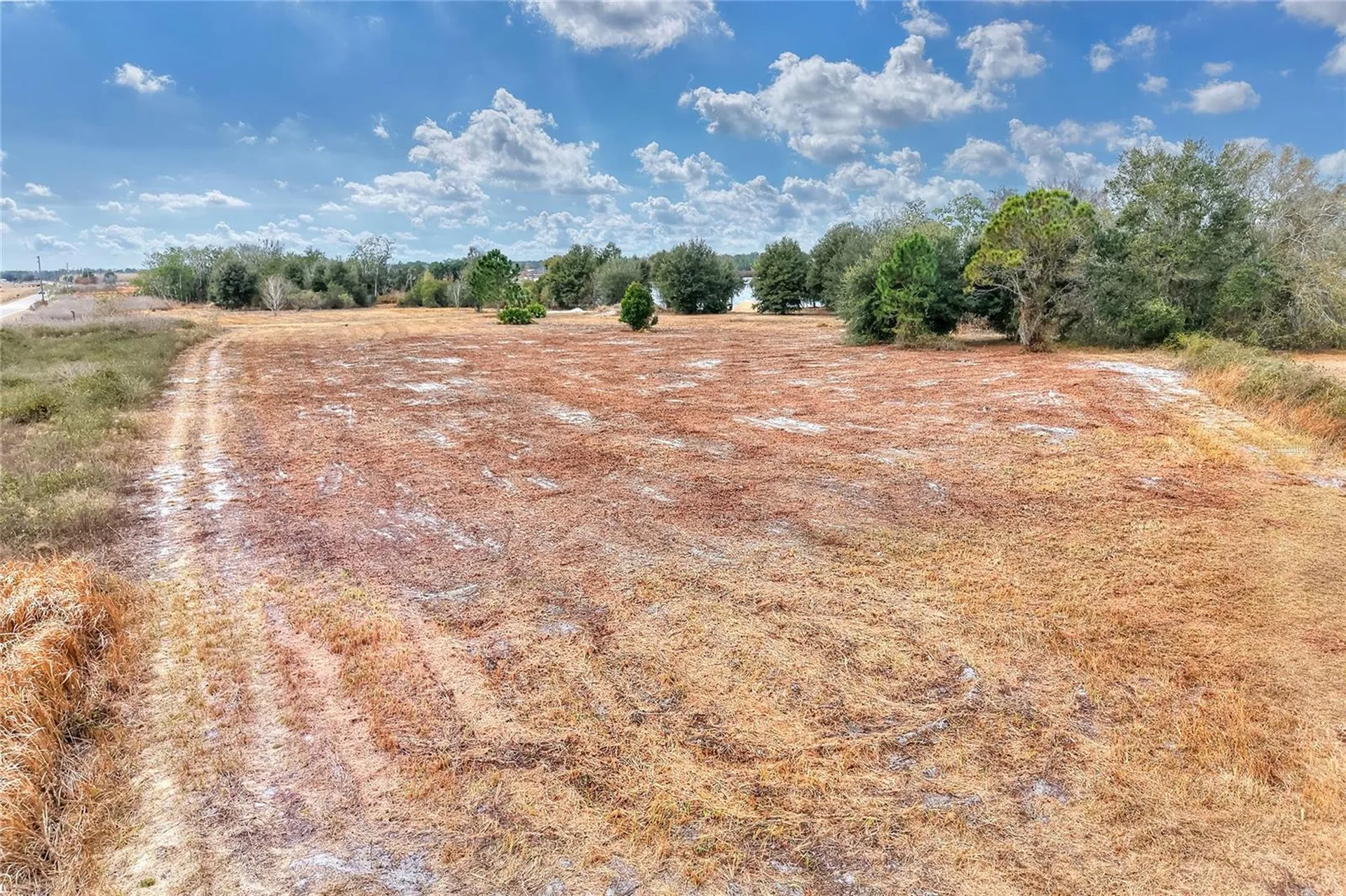 Lake Buffum Road E Fort Meade FL 33841