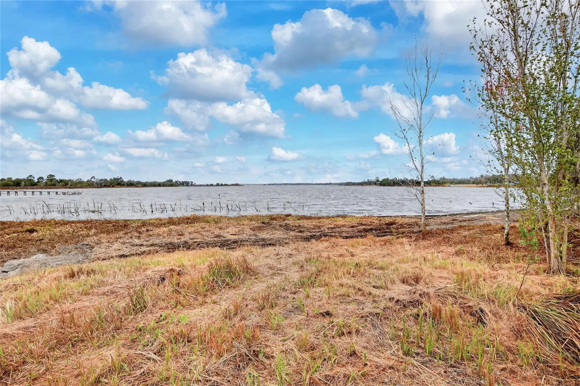 Lake Buffum Road E Fort Meade FL 33841