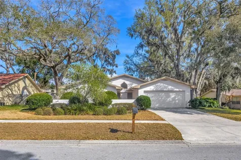 1011 Meadowcrest Drive Valrico FL 33594