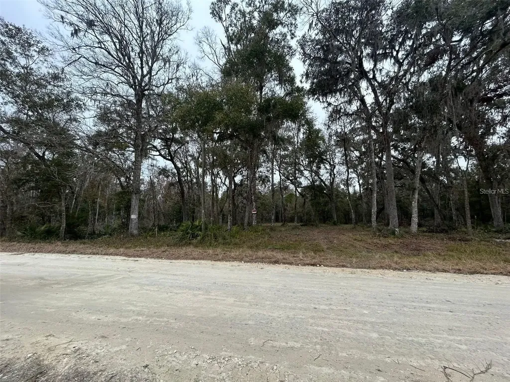 12191 NW 7th Place Ocala FL 34482