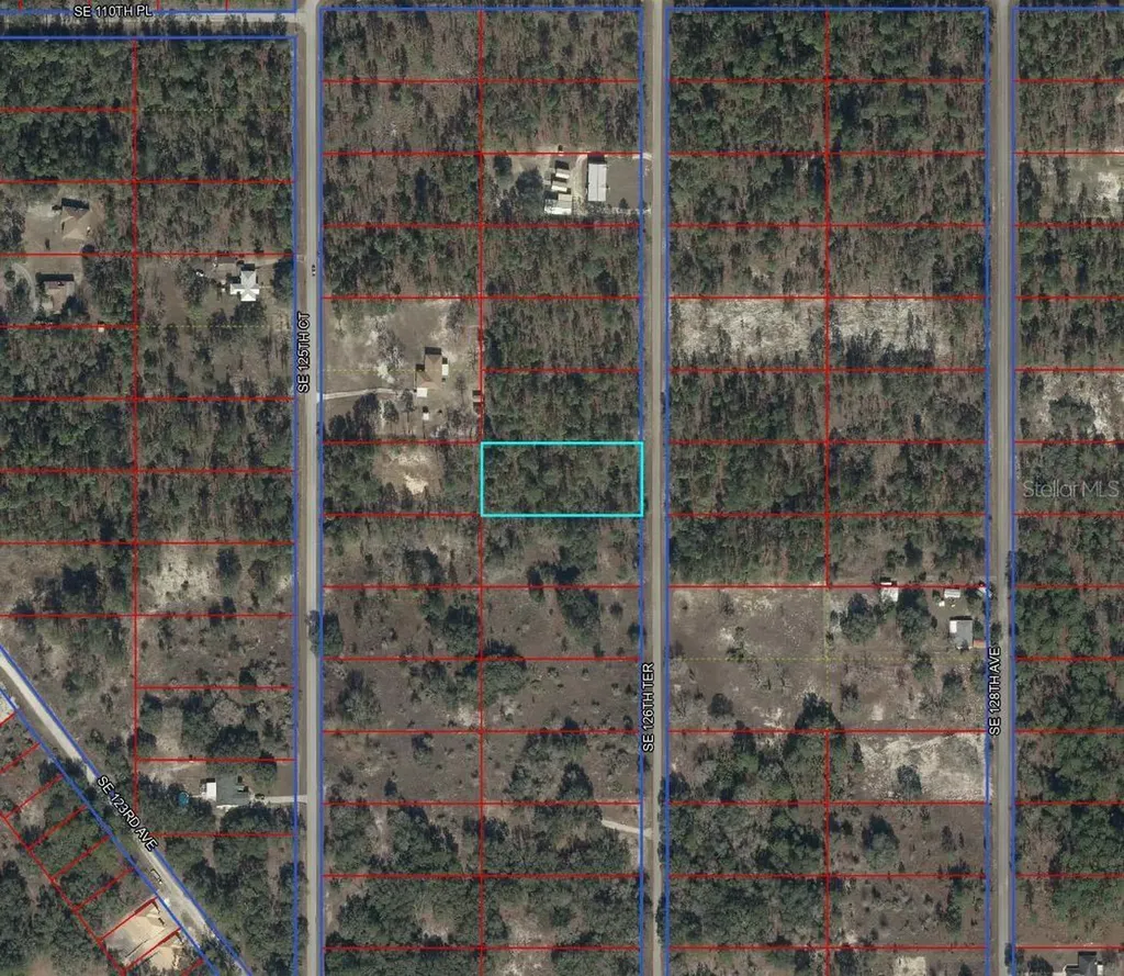 00000 SE 126th Terrace Dunnellon FL 34431